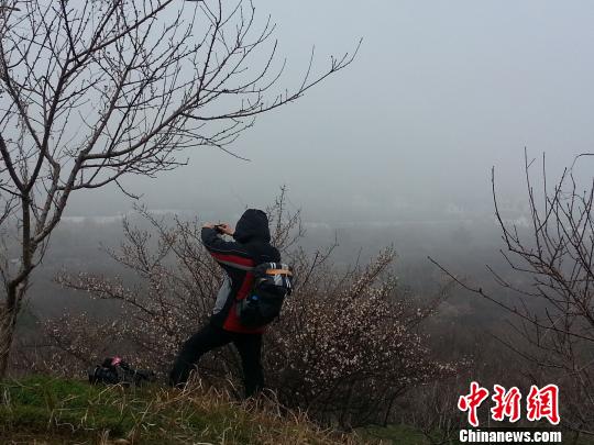 大雾突袭苏州游客太湖之滨“雾海探梅”